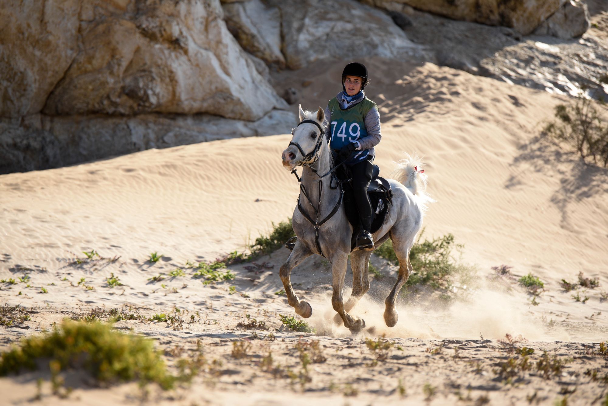 Highlights (77 of 231)_resized.jpg